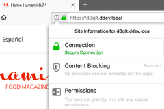 Screenshot of a browser showing a DDEV project with a secure HTTPS connection