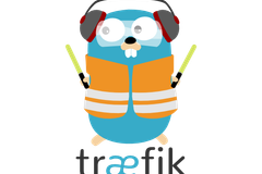 Traefik Configuration for DDEV